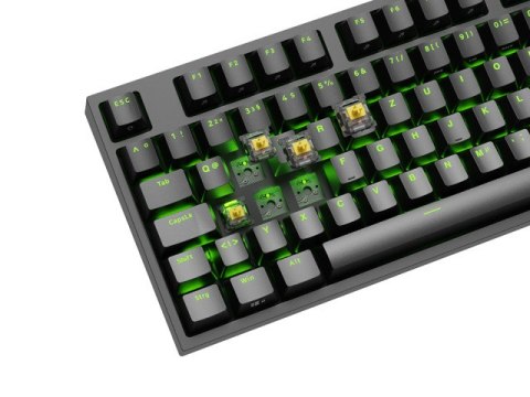 KLAWIATURA DLA GRACZY GENESIS THOR 404 TKL DE PODŚWIETLENIE RGB MECHANICZNA CZARNA GATERON YELLOW PR