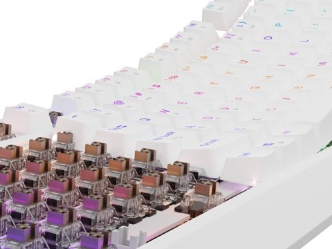 KLAWIATURA DLA GRACZY GENESIS THOR 230 TKL US RGB MECHANICZNA OUTEMU BROWN BIAŁA HOT SWAP