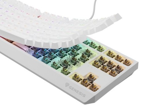 KLAWIATURA DLA GRACZY GENESIS THOR 230 TKL US RGB MECHANICZNA OUTEMU BROWN BIAŁA HOT SWAP