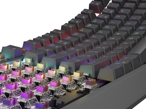 KLAWIATURA DLA GRACZY GENESIS THOR 230 TKL US RGB MECHANICZNA OUTEMU BROWN CZARNA HOT SWAP