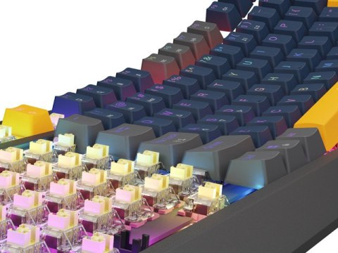 KLAWIATURA DLA GRACZY GENESIS THOR 230 TKL NAVAL BLUE POSITIVE US RGB MECHANICZNA OUTEMU PANDA