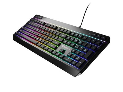 KLAWIATURA DLA GRACZY GENESIS RHOD 530 RGB US PODŚWIETLENIE GAMINGOWA PROGRAMOWALNA