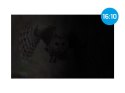 FILTR PRYWATYZUJĄCY RODO NATEC OWL 14" 16:10