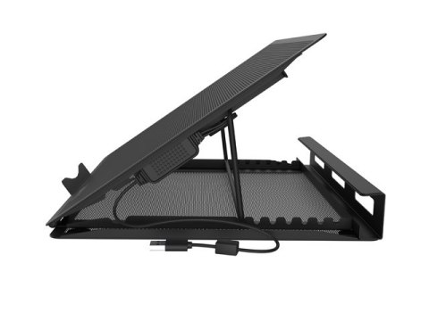 PODSTAWKA CHŁODZĄCA POD LAPTOPA NATEC TERN 2 PLUS 12.1-17.3" Z 2 WENTYLATORAMI